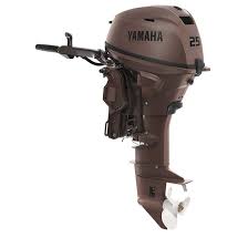 2024 Yamaha 25 Brown